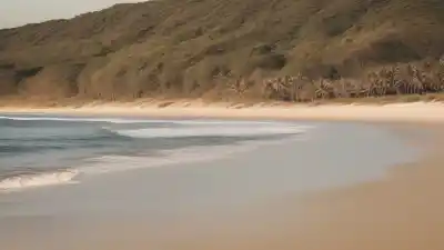 Top 5 de las Playas Más Cálidas de Florianópolis para Disfrutar Todo el Año