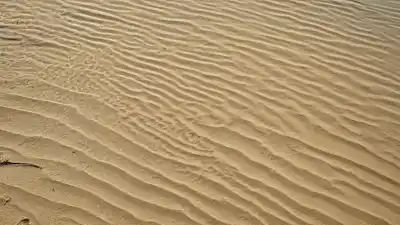 Las 3 Playas Más Cálidas de Xalapa: Un Refugio Tropical en Veracruz