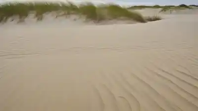 Top 7 de las Playas Más Lindas de Virginia que Te Sorprenderán