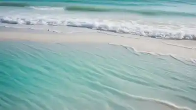 Top 5 de las Playas Más Cristalinas de Florida que Parecen el Caribe