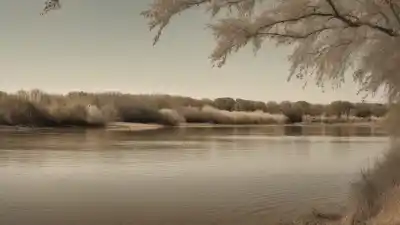 Top 3 de las Islas Más Grandes de Kansas: Descubre Estas Joyas Fluviales