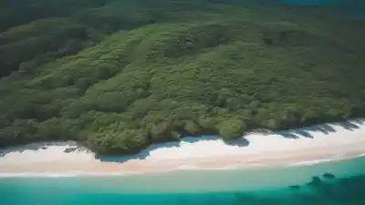 Top 5 de las Islas Más Grandes de América Central que Tienes que Conocer