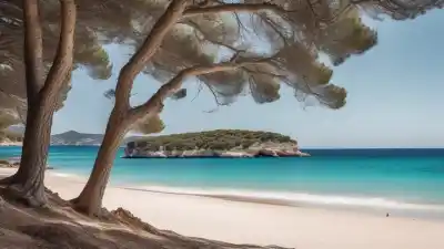 Top 5 de las Playas Más Famosas de Mallorca que Tienes que Visitar
