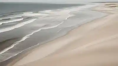 Top 7 de las Playas Más Famosas de Suecia que Tienes Que Visitar