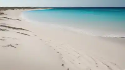 Top 5 de las Playas Más Tranquilas de Formentera que Tienes Que Descubrir