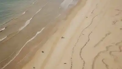 Top 5 de las Playas Más Importantes de Tamaulipas que Debes Visitar