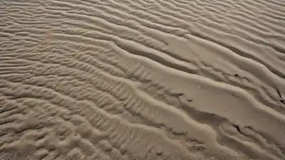 Las 5 Playas Más Calurosas de España: Donde el Sol No Perdona