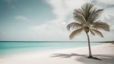 Top 5 de las Playas Más Grandes de Quintana Roo que Debes Visitar
