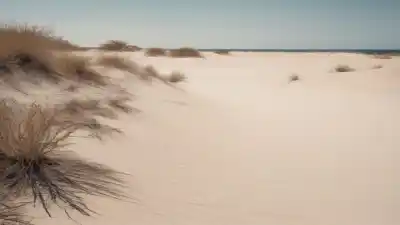 Top 5 de las Playas Más Calurosas de México: Donde el Sol No Conoce Límites
