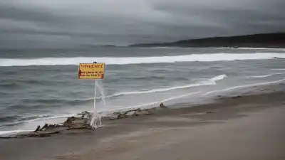 Top 10 de las Playas Más Peligrosas de Estados Unidos: Donde la Belleza Esconde el Riesgo
