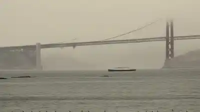 Las 3 Islas Más Importantes de San Francisco: Descubre su Historia y Atractivos