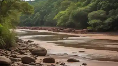 Top 3 de las Playas Más Importantes de Oberá, Misiones: Refugios de Agua Dulce