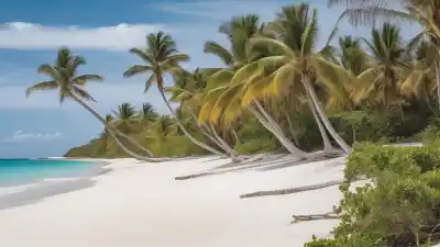 Top 5 de las Playas Más Importantes de Punta Cana que Tienes que Visitar