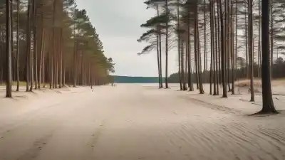 Top 5 de las Playas Más Importantes de Tallin: Descubre la Costa de la Capital