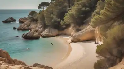 Top 5 de las Playas Más Tranquilas de Barcelona que Tienes que Descubrir