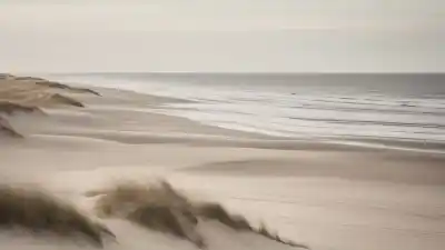 Top 7 de las Playas Más Tranquilas de Dinamarca que Son un Refugio de Paz