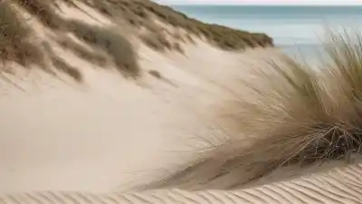 Top 5 de las Playas Más Tranquilas de Marbella: Tu Refugio de Paz en la Costa del Sol