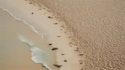 Top 5 de las Playas Más Cercanas a Barcelona para Escapar en un Santiamén