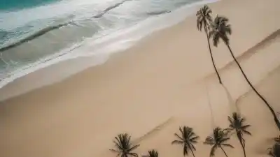 Top 5 de las Playas Más Cercanas a Bogotá que Tienes que Conocer