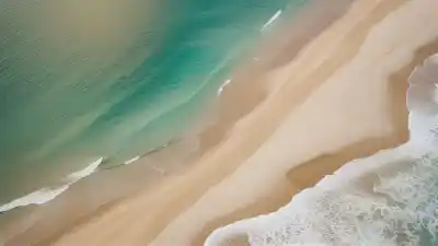 Top 5 de las Playas Más Cercanas a Camboriú Que Tienes Que Conocer