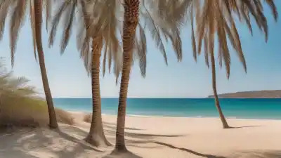 Top 5 de las Playas Más Cercanas a Guanajuato que Te Sorprenderán
