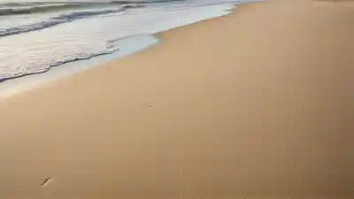 Top 5 de las Playas Más Cercanas a Monterrey que Tienes que Conocer