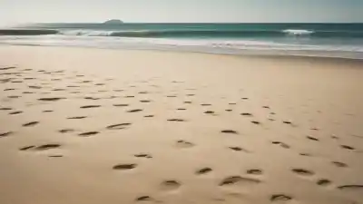 Top 5 de las Playas Más Cercanas a Oaxaca que Tienes que Conocer