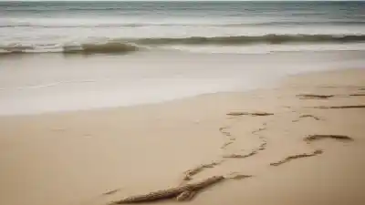Top 5 de las Playas Más Cercanas a Puebla para Escapadas Perfectas