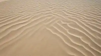 Top 5 de las Playas Más Cercanas a Utrera que Tienes que Conocer