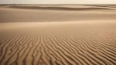 Top 5 de las Playas Más Cercanas a Xalapa que Tienes que Conocer