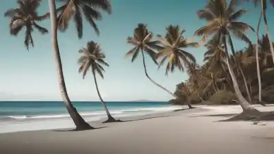 Top 5 de las Playas Más Importantes de Haití que Debes Descubrir