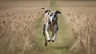 Top 7 Perros de Hocico Largo Más Fascinantes que Debes Conocer