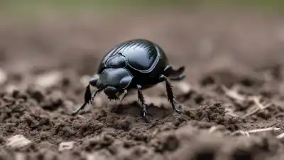 Top 5 de los insectos descomponedores de materia orgánica más eficientes que debes conocer