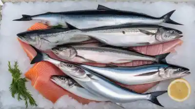 Top 5 Peces con Más Proteína que Debes Incluir en tu Dieta