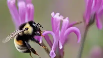 Top 7 Insectos Polinizadores en Chile: Aliados Silenciosos de Nuestra Biodiversidad