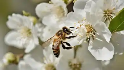Top 7 Insectos Polinizadores en la Agricultura que Debes Conocer