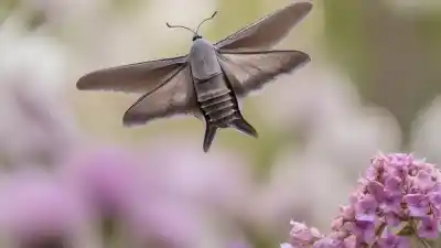 Top 7 Insectos Parecidos a las Mariposas que te Sorprenderán