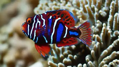 Top 10 de los Peces Más Lindos del Mundo que Te Dejarán Sin Aliento