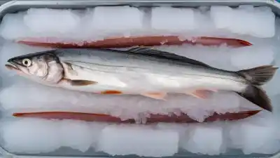 Top 7 de los peces con más anisakis que debes conocer para prevenir infecciones