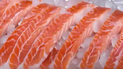 Top 5 de los peces con más omega 3 que debes incluir en tu dieta
