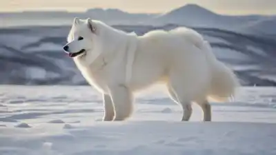 Top 10 Razas de Perros de Color Blanco Más Fascinantes