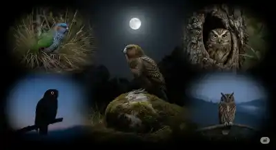 Fantasmas Emplumados: Las 5 Aves Nocturnas Más Raras y Misteriosas del Planeta