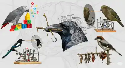 Genios con Alas: las 5 Aves Más Inteligentes del Planeta