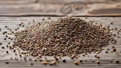 Top 10 de los Alimentos Más Altos en Fibra que Transformarán tu Salud