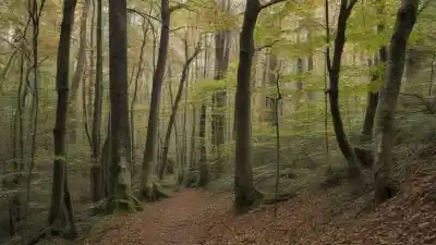 Los 7 bosques más bonitos de Madrid que te dejarán sin aliento
