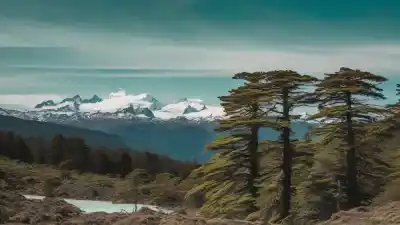 Top 10 de los Bosques Más Hermosos de Argentina que Te Dejarán Sin Aliento