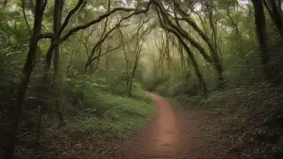 Top 5 de los Bosques Más Extensos de Argentina que Tienes que Conocer
