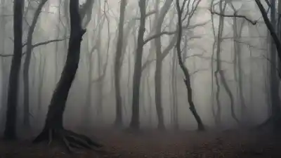 Top 7 bosques más aterradores del mundo que te pondrán los pelos de punta