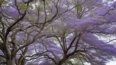 Top 10 de los Árboles Más Lindos de Argentina Que Te Dejarán Sin Aliento