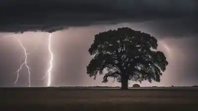 Top 5 Árboles que Más Atraen Rayos: Descubre los Blancos Favoritos de las Tormentas Eléctricas